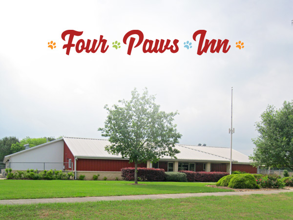 facility four paws inn in converse tx