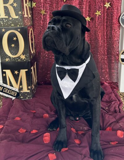 PROM