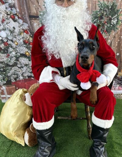 Photo with Santa