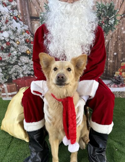Photo with Santa
