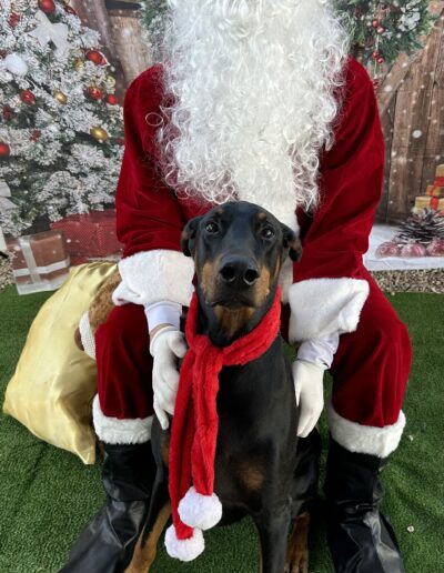 Photo with Santa