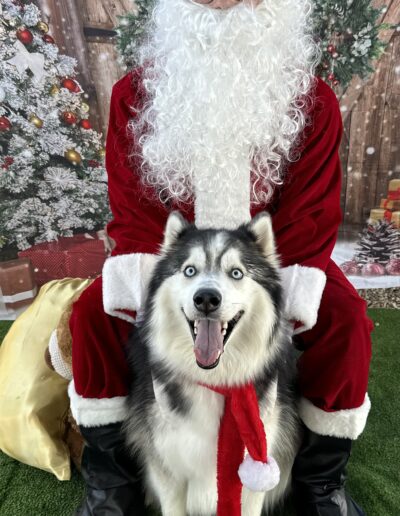 Photo with Santa