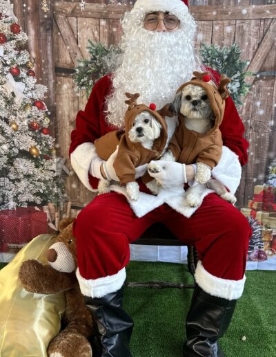 Photo with Santa