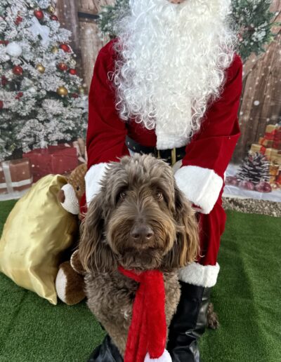 Photo with Santa