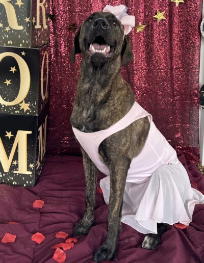 PROM
