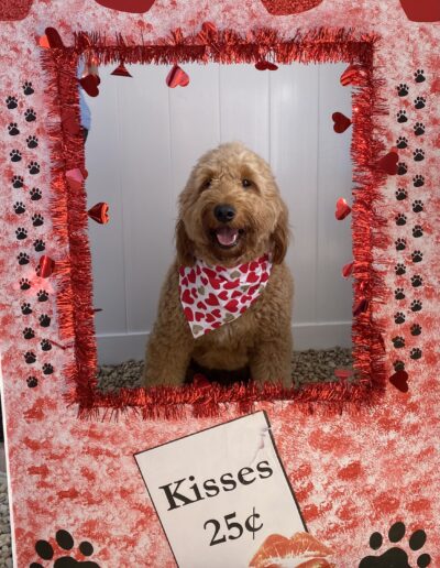 Valentine's Day