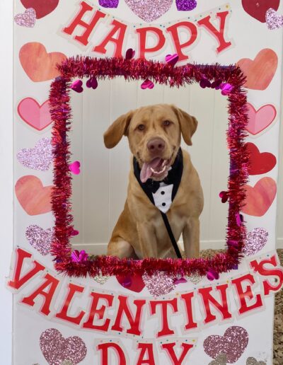 Valentine's Day