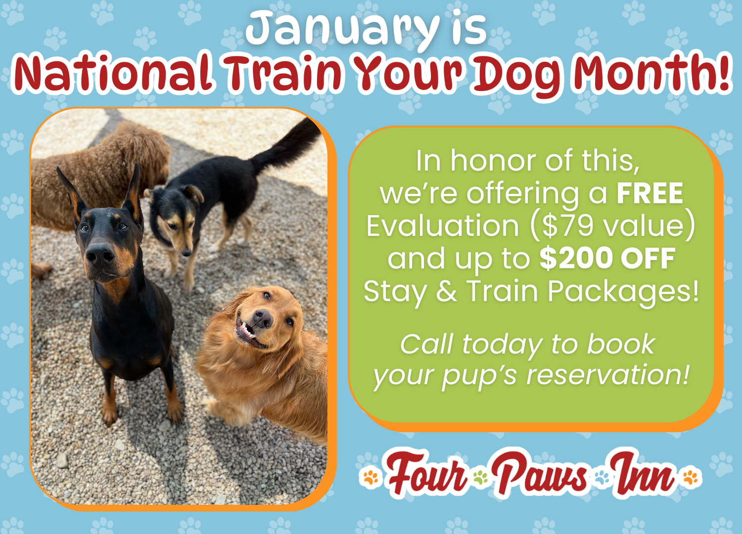 National Train Your Dog Month