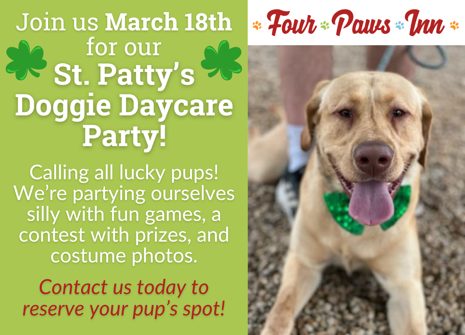 St Patricks Day Pop-Up