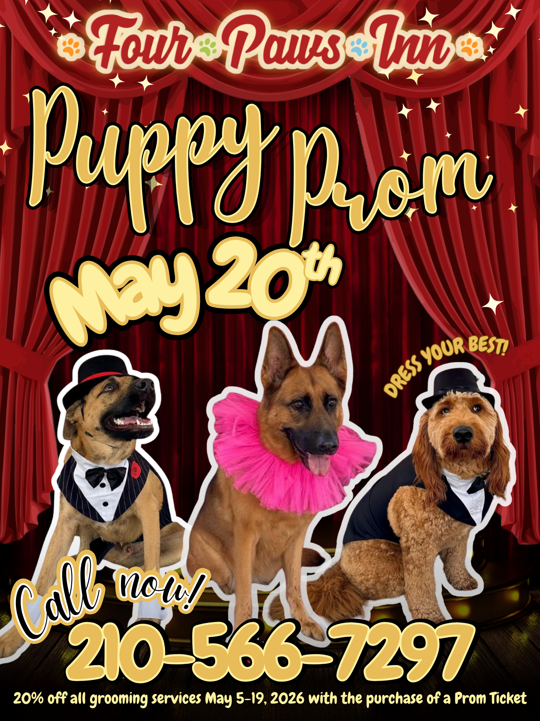 Puppy Prom Pop-Up
