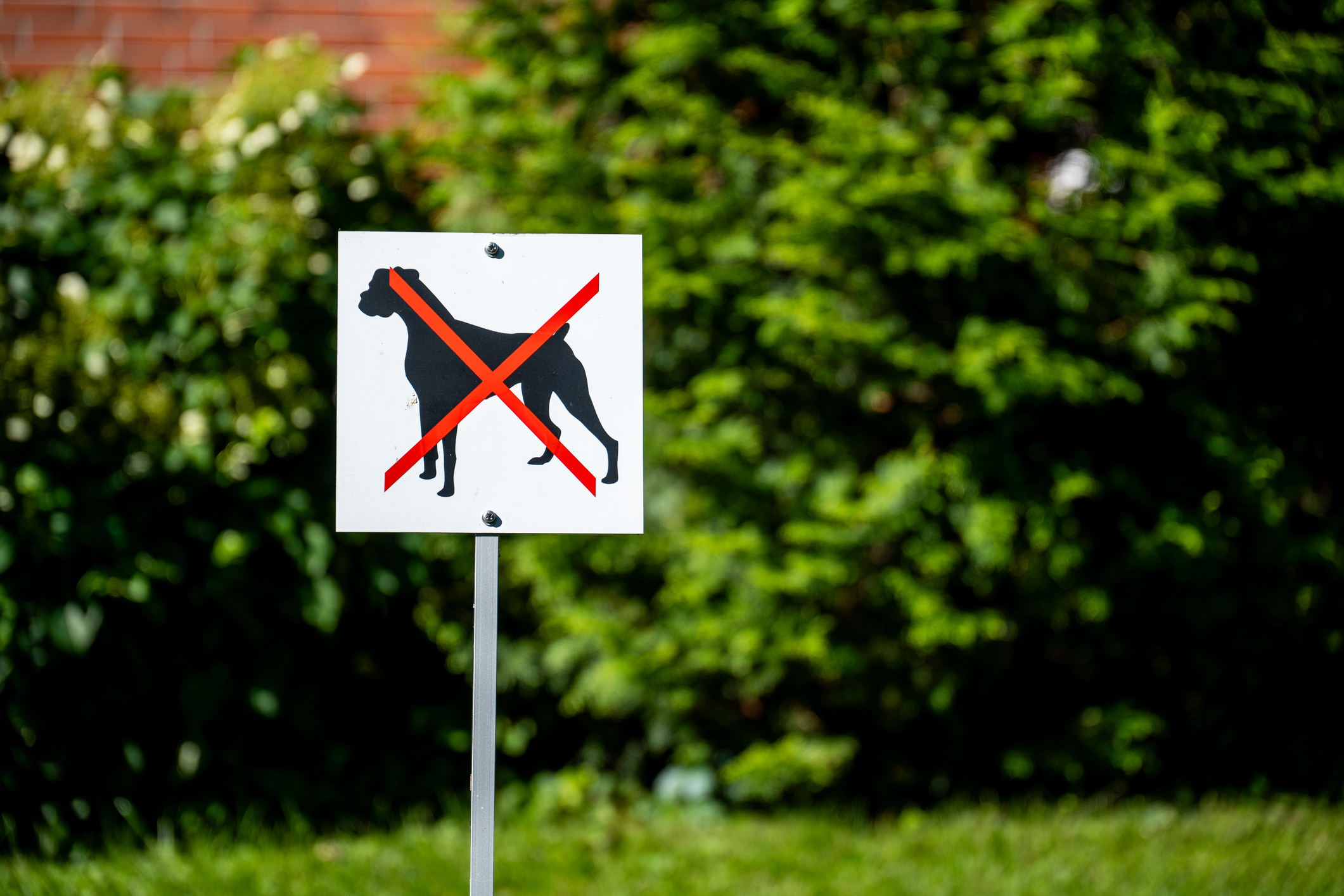 No Dogs Allowed Sign with Red Cross