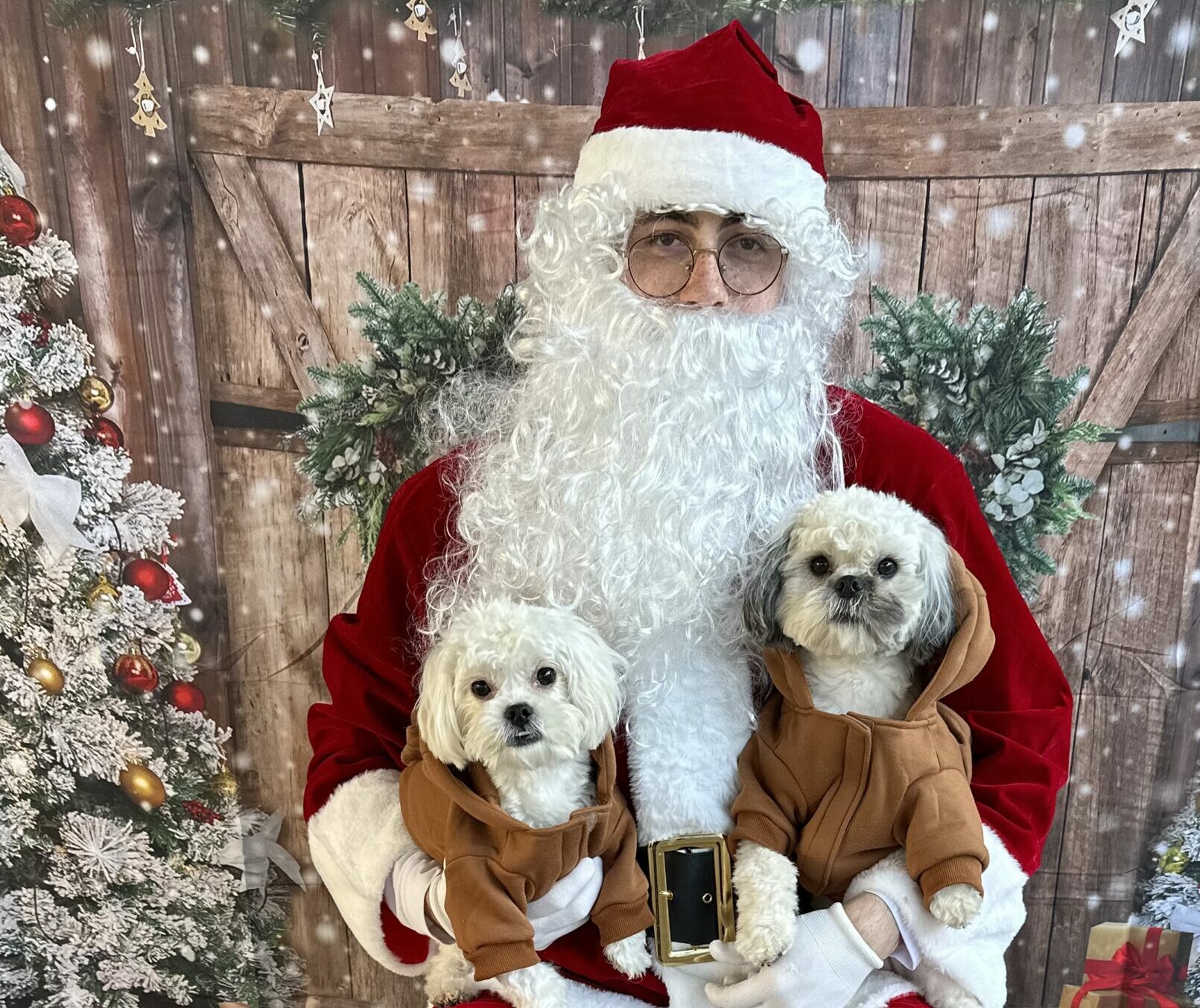 Two dogs with Santa for holiday photo